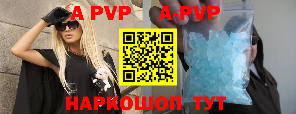 A-PVP СК Сургут